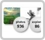 Profile Widget