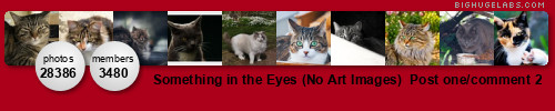 Something in the Eyes (Invited Photos Only). Get yours at bighugelabs.com/flickr