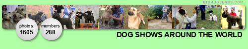 DOG SHOWS AROUND THE WORLD. Get yours at bighugelabs.com/flickr
