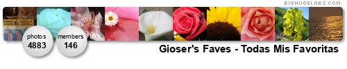 Gioser's Faves - Todas Mis Favoritas. Get yours at bighugelabs.com/flickr Gioser's Faves - Todas Mis Favoritas. Get yours at bighugelabs.com/flickr