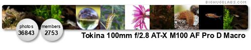 Tokina 100mm f/2.8 AT-X M100 AF Pro D Macro. Get yours at bighugelabs.com/flickr