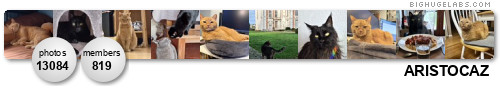 ARISTOCAZ - please comment. Get yours at bighugelabs.com/flickr ARISTOCAZ - please comment. Get yours at bighugelabs.com/flickr