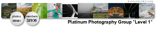 *Platinum Photography *Medal or Invite*. Get yours at bighugelabs.com/flickr