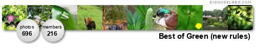 Best of Green. Get yours at bighugelabs.com/flickr Best of Green. Get yours at bighugelabs.com/flickr