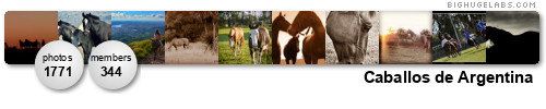 Caballos de Argentina. Get yours at bighugelabs.com/flickr