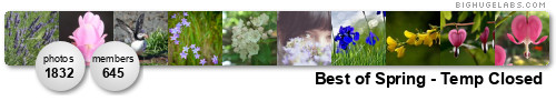 Best of Spring. Get yours at bighugelabs.com/flickr Best of Spring. Get yours at bighugelabs.com/flickr