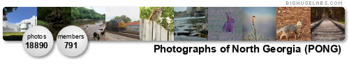 Photographs of North Georgia (PONG). Get yours at bighugelabs.com/flickr