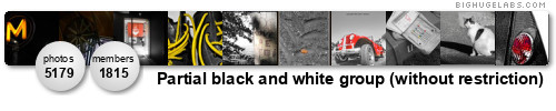 Partial black and white group (without restriction). Get yours at bighugelabs.com/flickr