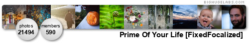 Prime Of Your Life. Get yours at bighugelabs.com/flickr Prime Of Your Life. Get yours at bighugelabs.com/flickr
