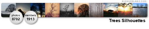 Trees Silhouettes. Get yours at bighugelabs.com/flickr