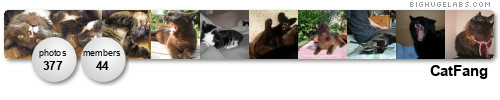 CatFang. Get yours at bighugelabs.com/flickr CatFang. Get yours at bighugelabs.com/flickr