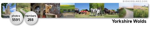 Yorkshire Wolds. Get yours at bighugelabs.com/flickr