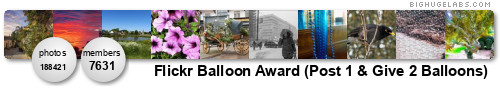 Flickr Balloon Award. Get yours at bighugelabs.com/flickr