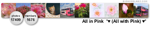 All in Pink  *♥ (All with Pink) ♥*. Get yours at bighugelabs.com/flickr
