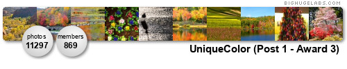 UniqueColor (Post 1 - Award 3). Get yours at bighugelabs.com/flickr