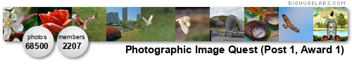 Photographic Image Quest. Get yours at bighugelabs.com/flickr Photographic Image Quest. Get yours at bighugelabs.com/flickr