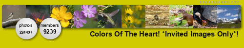 Colors Of The Heart! *Invited Images Only* ! Post 1 - Award 3 !. Get yours at bighugelabs.com/flickr Colors Of The Heart! *Invited Images Only* ! Post 1 - Award 3 !. Get yours at bighugelabs.com/flickr
