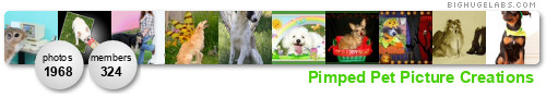 PikiPimped Pets. Get yours at bighugelabs.com/flickr PikiPimped Pets. Get yours at bighugelabs.com/flickr