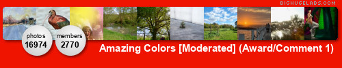 Amazing Colors [Invite ONLY] (Comment on the photo before yours). Get yours at bighugelabs.com/flickr