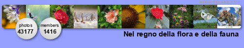 Nel regno della flora e della fauna ( invited photos only ). Get yours at bighugelabs.com/flickr