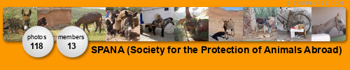 SPANA (Society for the Protection of Animals Abroad). Get yours at bighugelabs.com/flickr