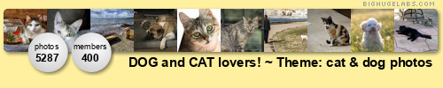 DOG and CAT lovers! (post 1 ~ award 1). Get yours at bighugelabs.com/flickr DOG and CAT lovers! (post 1 ~ award 1). Get yours at bighugelabs.com/flickr