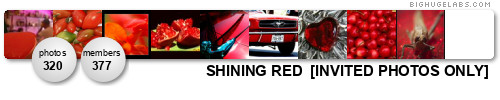 SHINING RED  [INVITED PHOTOS ONLY]. Get yours at bighugelabs.com/flickr