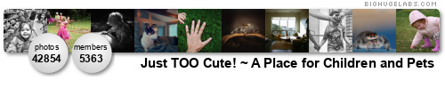 Just TOO Cute! かわいい!. Get yours at bighugelabs.com/flickr Just TOO Cute! かわいい!. Get yours at bighugelabs.com/flickr