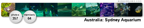 Australia: Sydney Aquarium. Get yours at bighugelabs.com/flickr