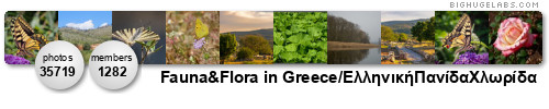 Fauna & Flora in Greece. Get yours at bighugelabs.com/flickr