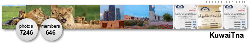 KuwaiTna. Get yours at bighugelabs.com/flickr