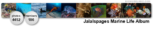 Jalalspages Marine Life Album. Get yours at bighugelabs.com/flickr Jalalspages Marine Life Album. Get yours at bighugelabs.com/flickr