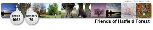 Friends of Hatfield Forest. Get yours at bighugelabs.com/flickr Friends of Hatfield Forest. Get yours at bighugelabs.com/flickr