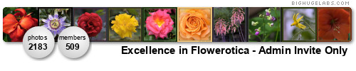 Excellence in Flowerotica - Invite Only. Get yours at bighugelabs.com/flickr