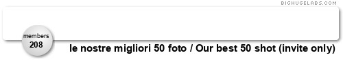 le nostre migliori 50 foto / Our best 50 shot (invite only). Get yours at bighugelabs.com/flickr