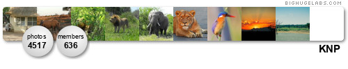 Kruger National Park. Get yours at bighugelabs.com/flickr