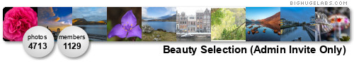 Beauty Selection. Get yours at bighugelabs.com/flickr Beauty Selection. Get yours at bighugelabs.com/flickr