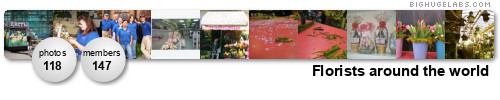 Florists around the world. Get yours at bighugelabs.com/flickr