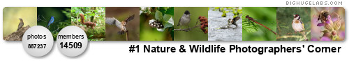 #1 Nature & Wildlife Photographers Corner. Get yours at bighugelabs.com/flickr