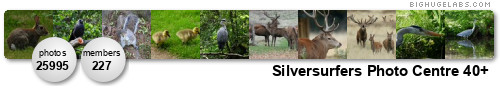 Silversurfers Photo Centre 40+. Get yours at bighugelabs.com/flickr Silversurfers Photo Centre 40+. Get yours at bighugelabs.com/flickr