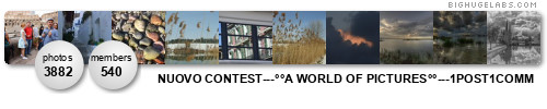°°A WORLD OF PICTURES°°---NUOVO CONTEST POSTATE---1POST1COMM. Get yours at bighugelabs.com/flickr