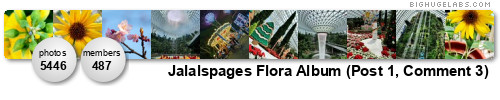 Jalalspages Flora Album. Get yours at bighugelabs.com/flickr Jalalspages Flora Album. Get yours at bighugelabs.com/flickr