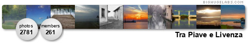 Tra Piave e Livenza. Get yours at bighugelabs.com/flickr