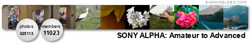 SONY ALPHA DSLR-A200. Get yours at bighugelabs.com/flickr