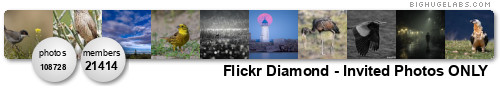 Flickr Diamond - Invited Photos Only. Get yours at bighugelabs.com/flickr