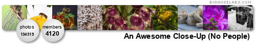 An Awesome Close-Up (No People)Contest-ENTER NOW. Get yours at bighugelabs.com/flickr An Awesome Close-Up (No People)Contest-ENTER NOW. Get yours at bighugelabs.com/flickr