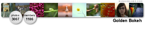Golden Bokeh (Only Great Quality - COMMENT ON 2). Get yours at bighugelabs.com/flickr Golden Bokeh (Only Great Quality - COMMENT ON 2). Get yours at bighugelabs.com/flickr