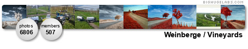 Weinberge / Vineyards. Get yours at bighugelabs.com/flickr Weinberge / Vineyards. Get yours at bighugelabs.com/flickr
