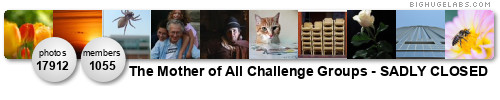The Mother of All Challenge Groups *2000 Photos & Growing!!*. Get yours at bighugelabs.com/flickr The Mother of All Challenge Groups *2000 Photos & Growing!!*. Get yours at bighugelabs.com/flickr