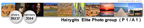 Hairygits Elite Photo group. Get yours at bighugelabs.com/flickr Hairygits Elite Photo group. Get yours at bighugelabs.com/flickr